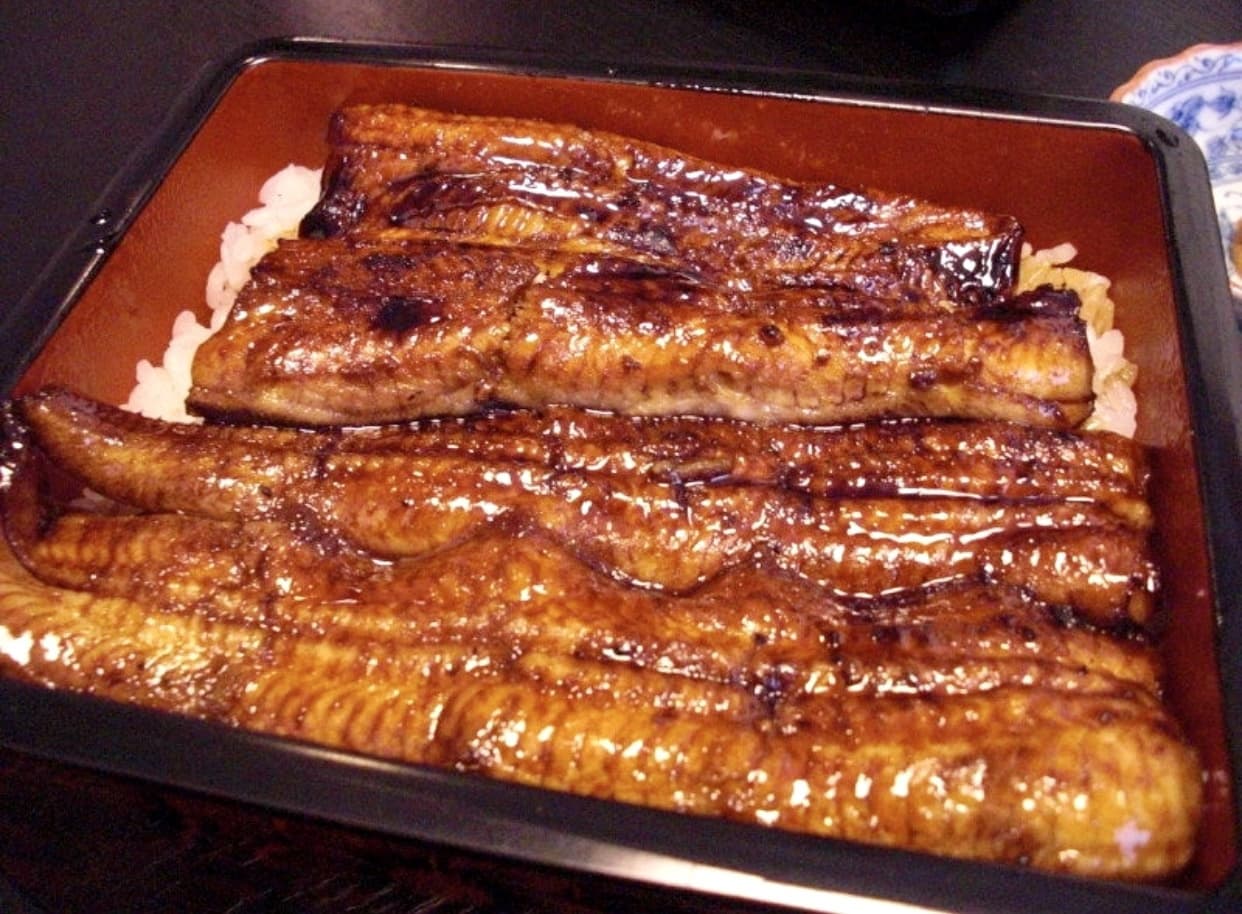 unagi.jpg